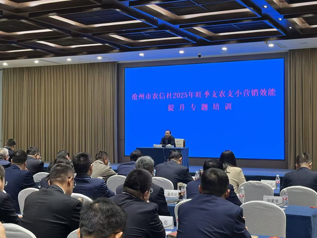 沈寅鑫老师沧州行：解锁2025旺季信贷营销新篇章相关图片